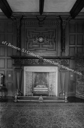 MALLOW CASTLE FIREPLACE IN ANTE ROOM